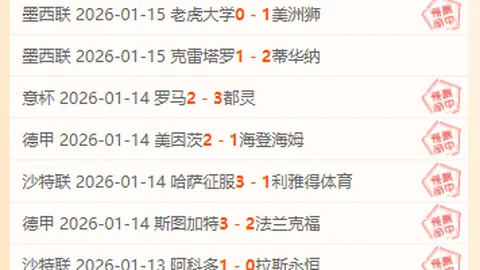 英超风云：布赖顿能否在主场翱翔巅峰？